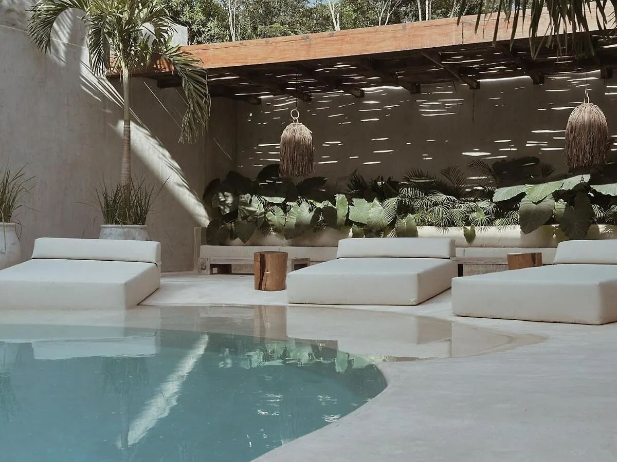A Magical Spot In The Jungle Apartment Tulum Mexico
